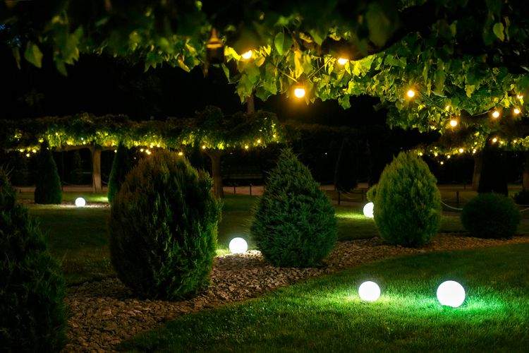 Lighting for your Garden