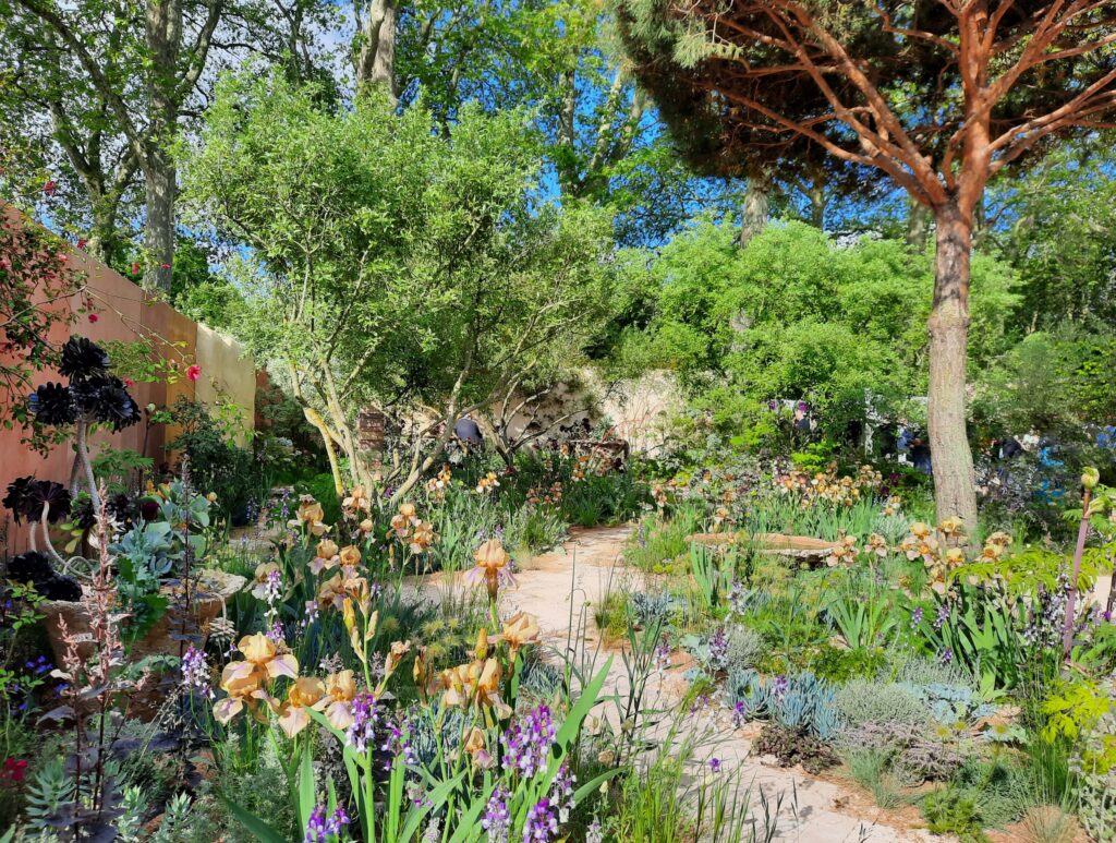 Exploring RHS Chelsea Flower Show 2023 and its approach to Sustainability, Innovation and Mental Well-being