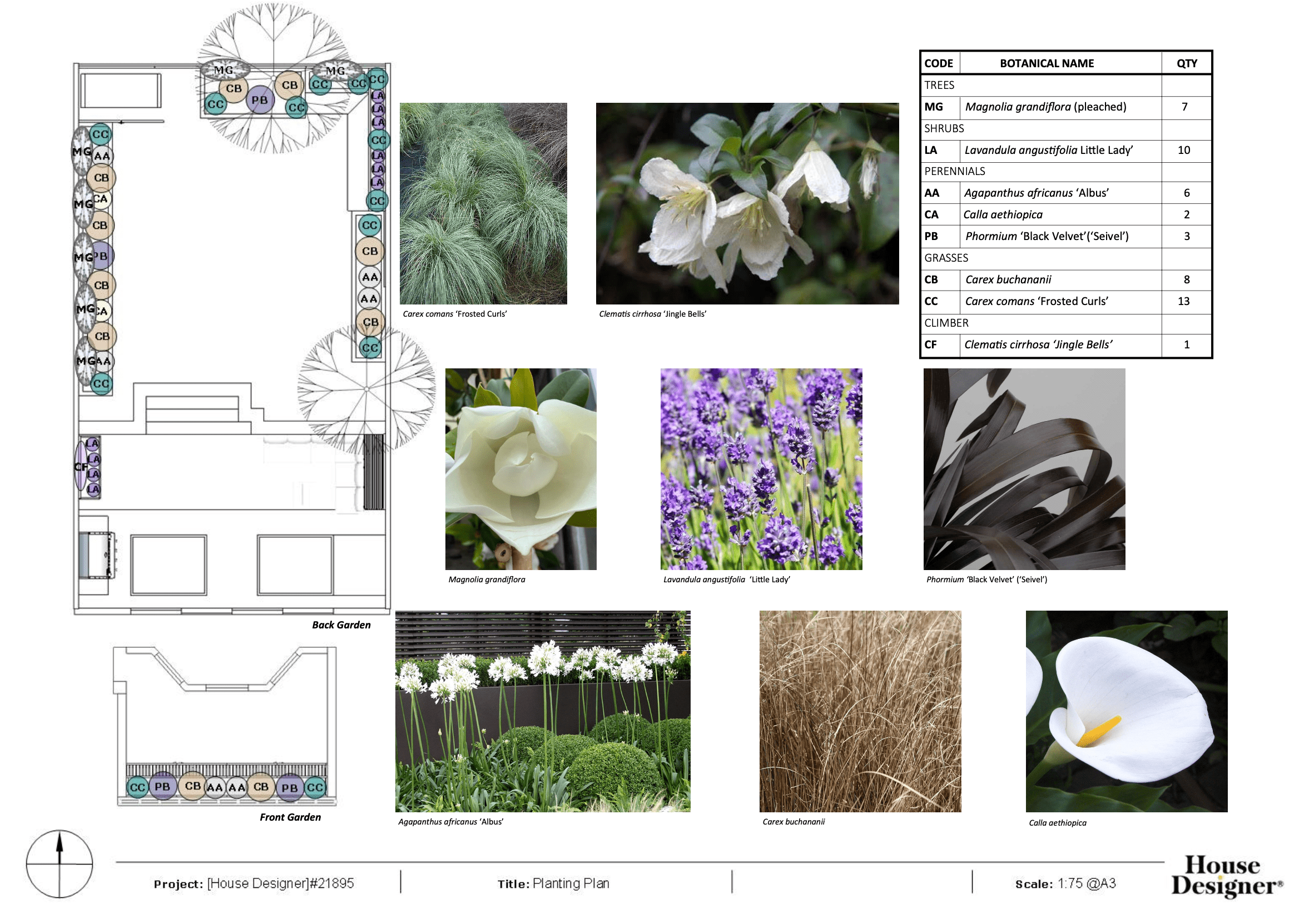 Planting Plan Design Scheme